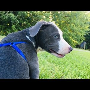 Meet your Posher, Jade